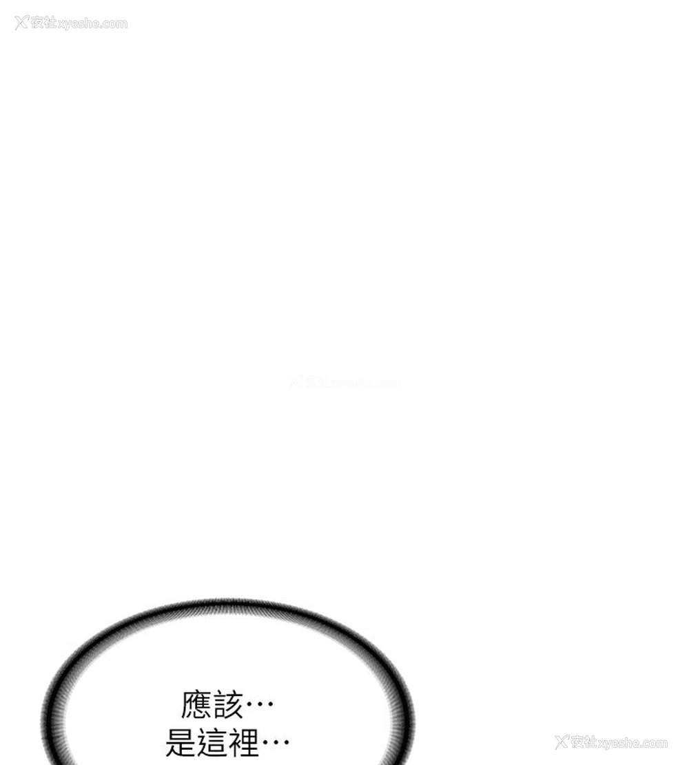 41P - 熟女计划书