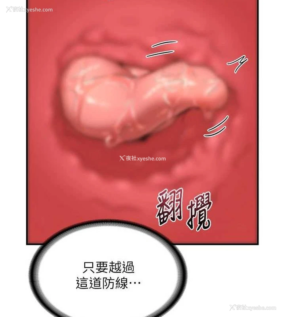 49P - 熟女计划书