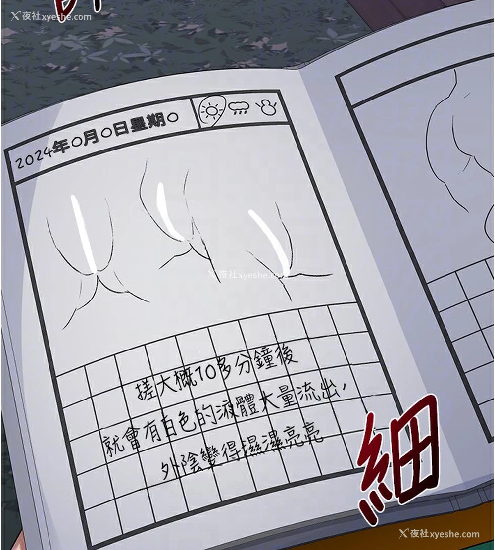 112P - 熟女计划书