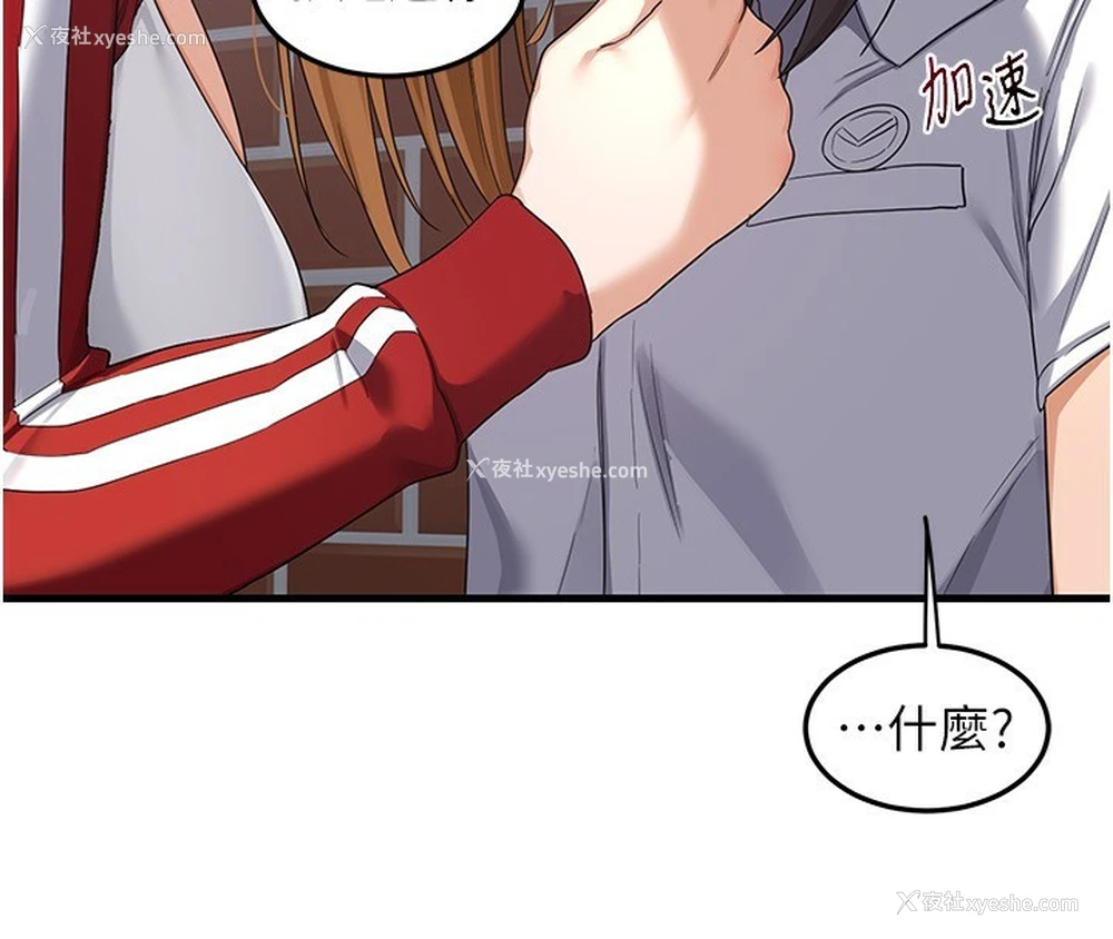 193P - 熟女计划书