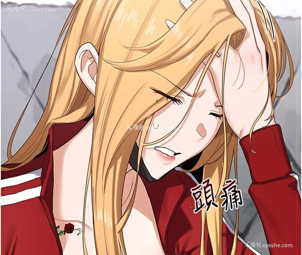 45P - 熟女计划书