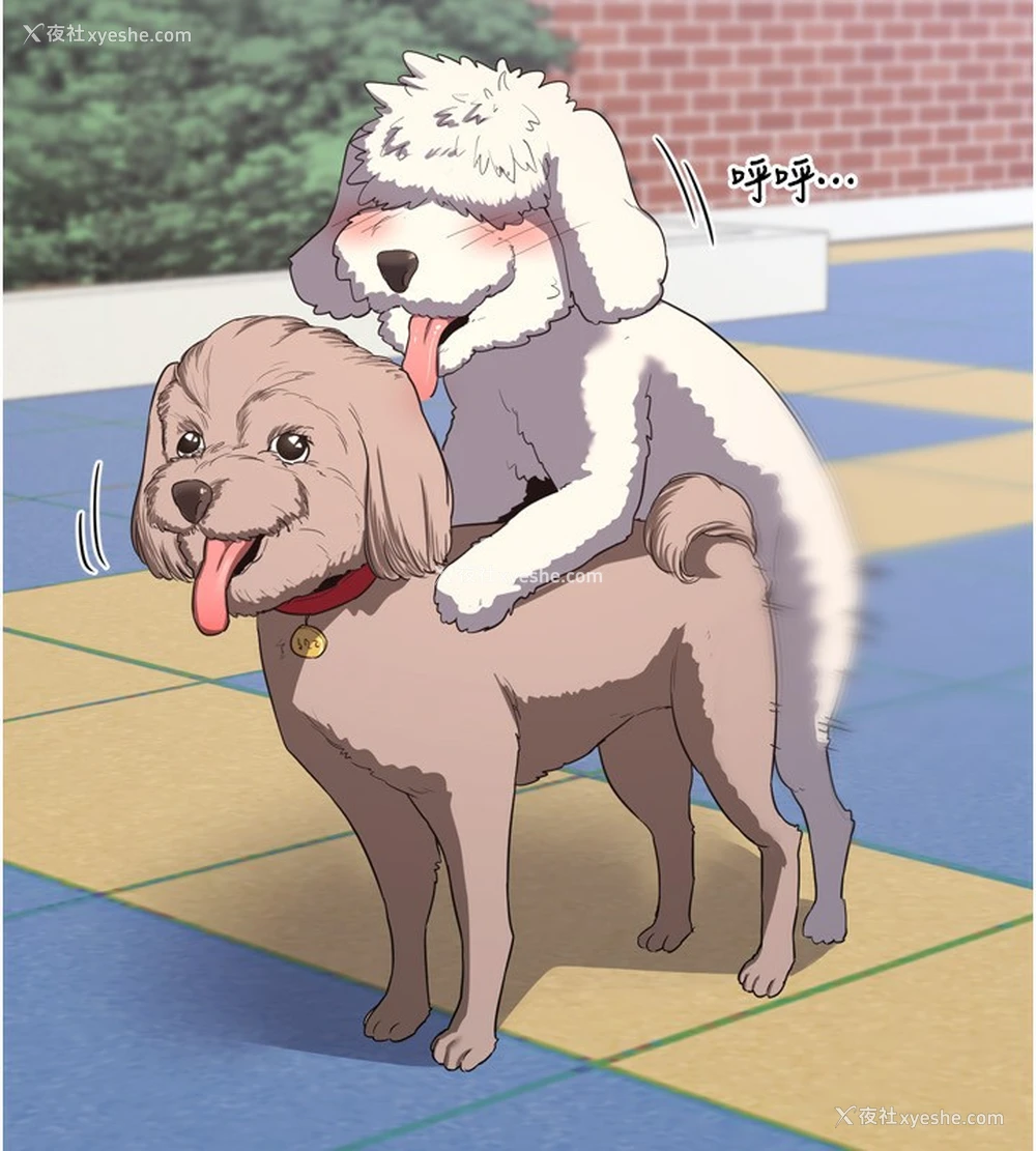 33P - 熟女计划书
