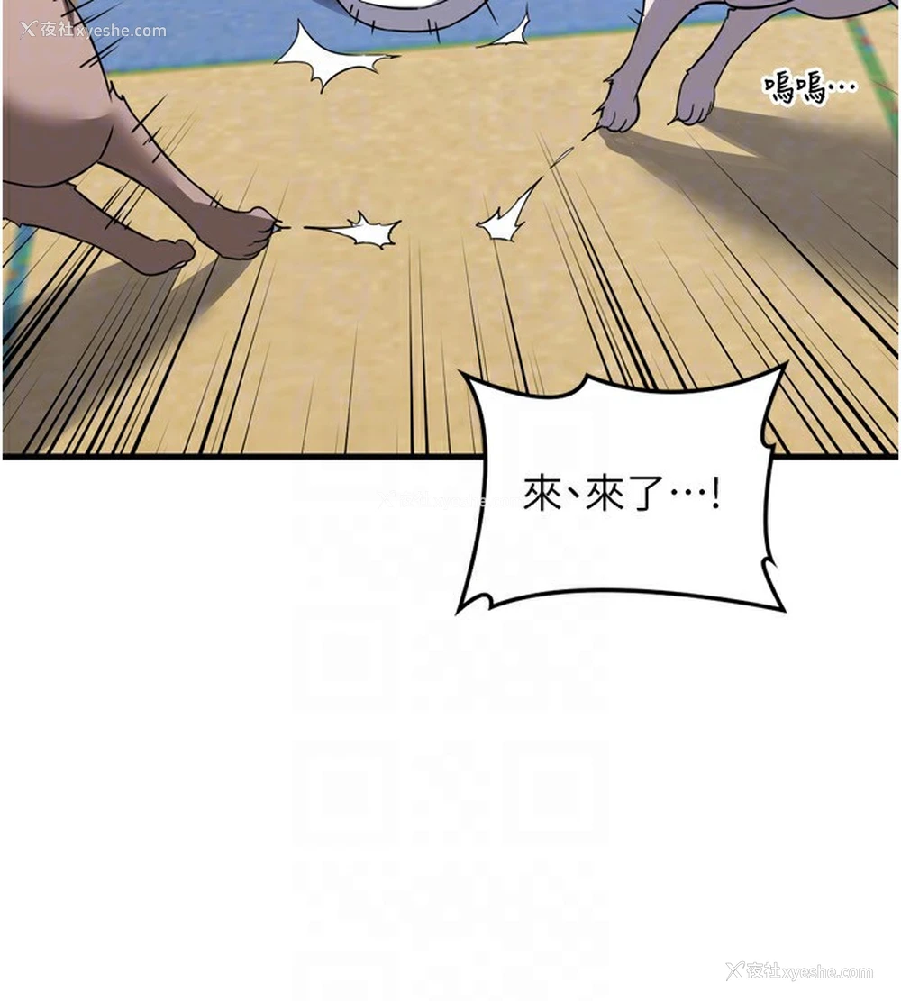 80P - 熟女计划书