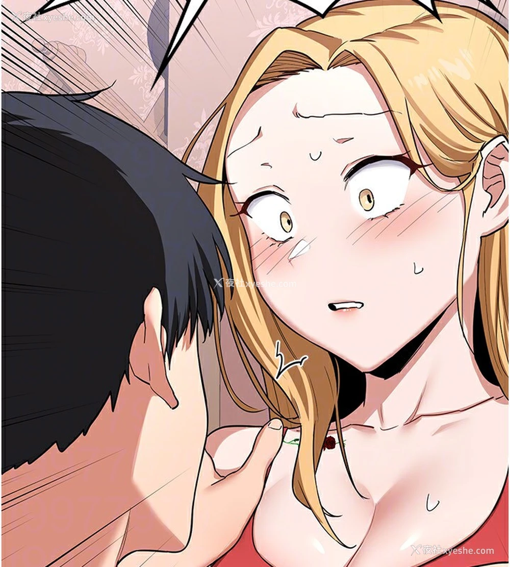 173P - 熟女计划书