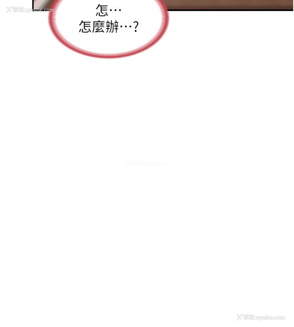 20P - 熟女计划书