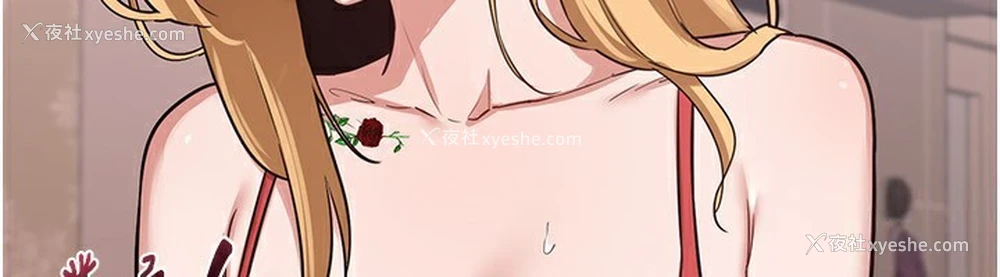 210P - 熟女计划书