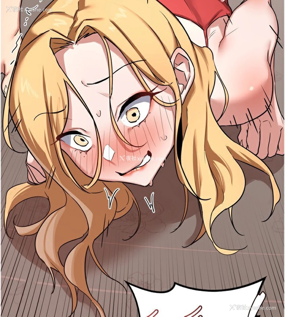 3P - 熟女计划书