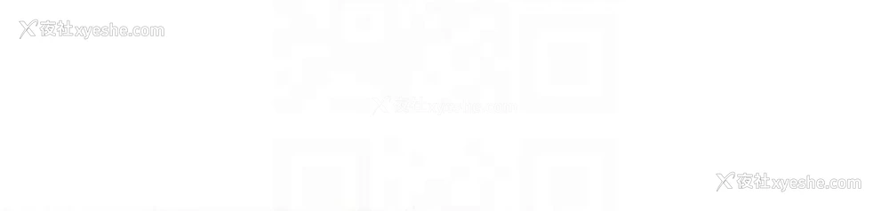 110P - 私密视角