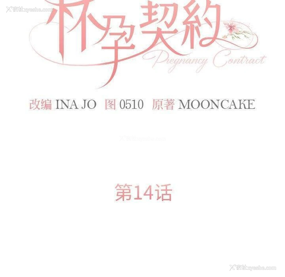 18P - 怀孕契约