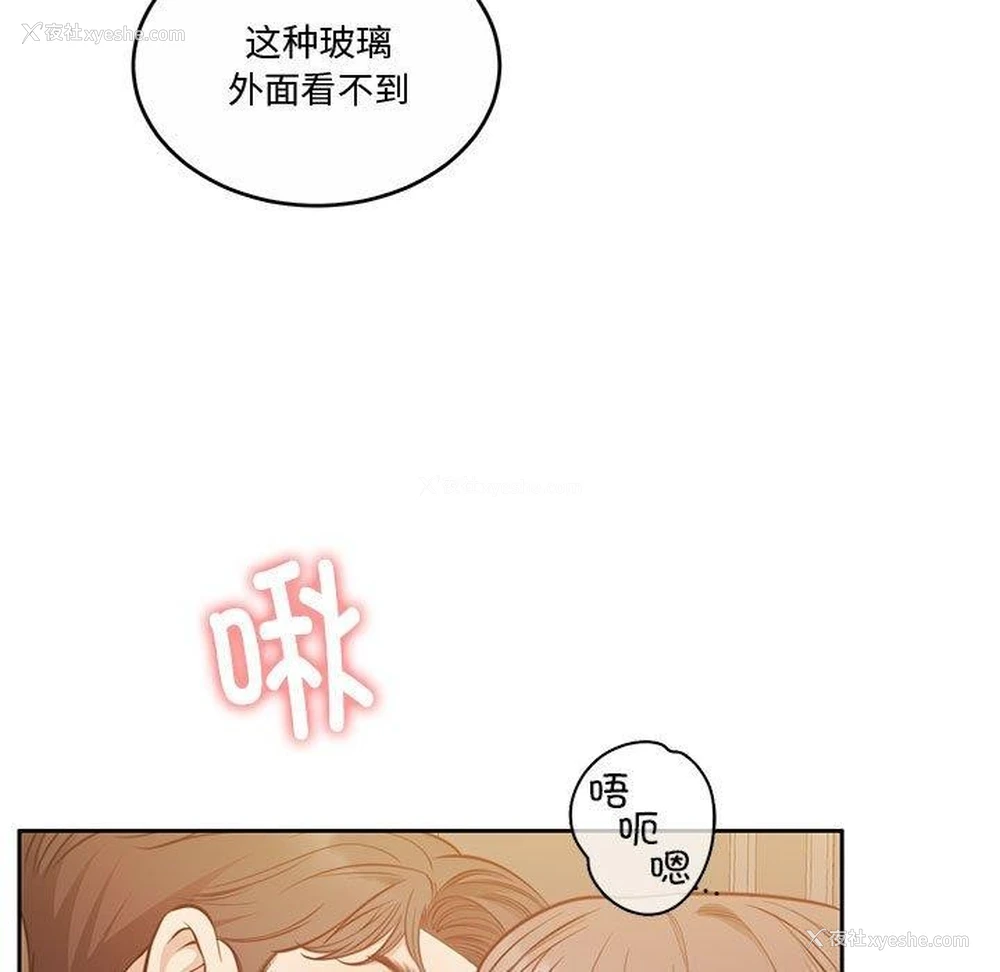 11P - 怀孕契约
