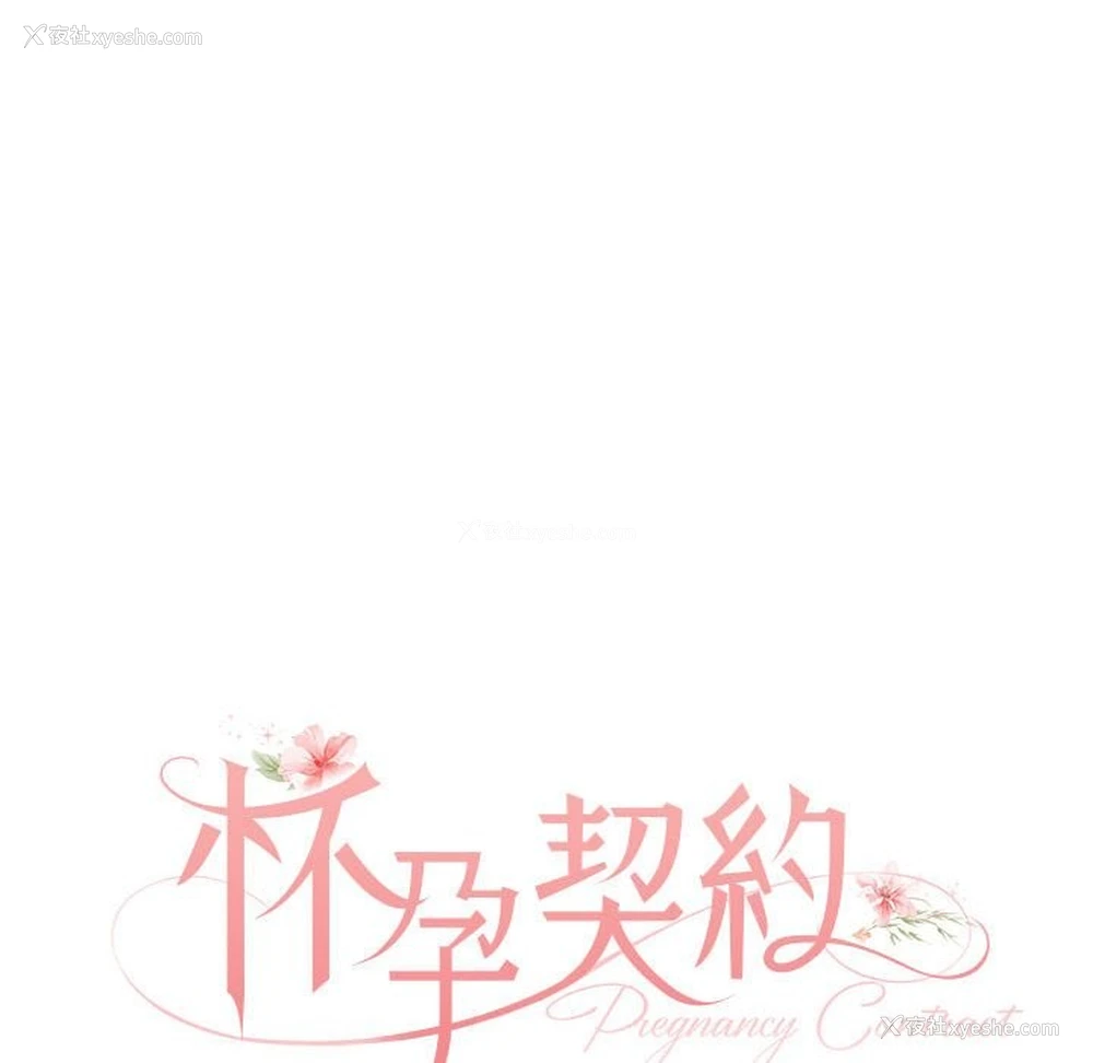 46P - 怀孕契约