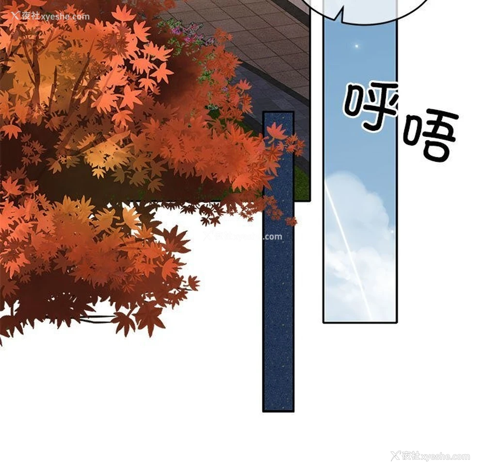 5P - 怀孕契约