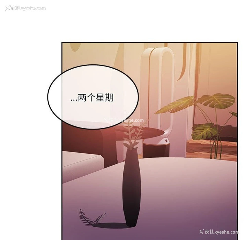 91P - 怀孕契约