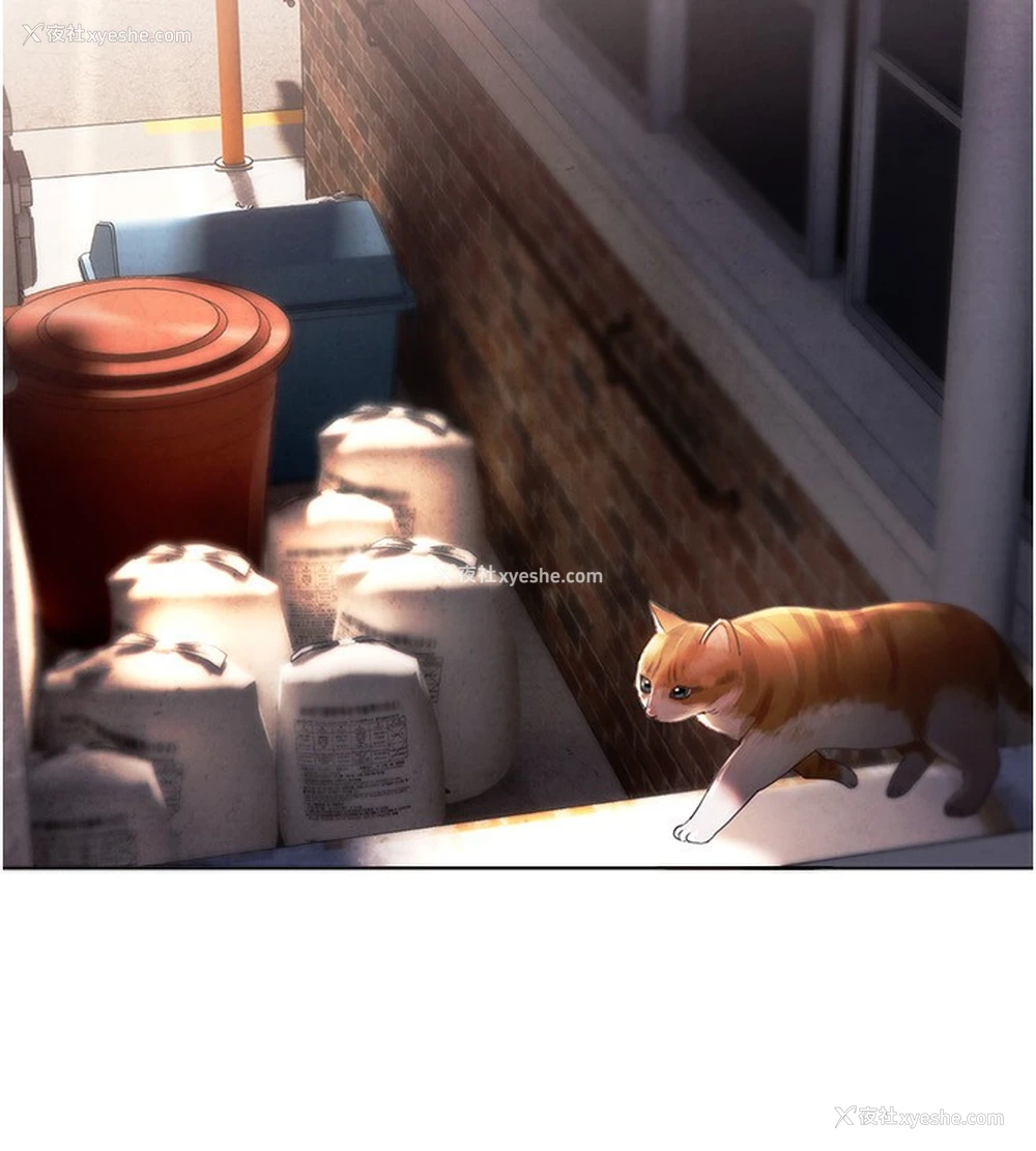 62P - Beautiful Days