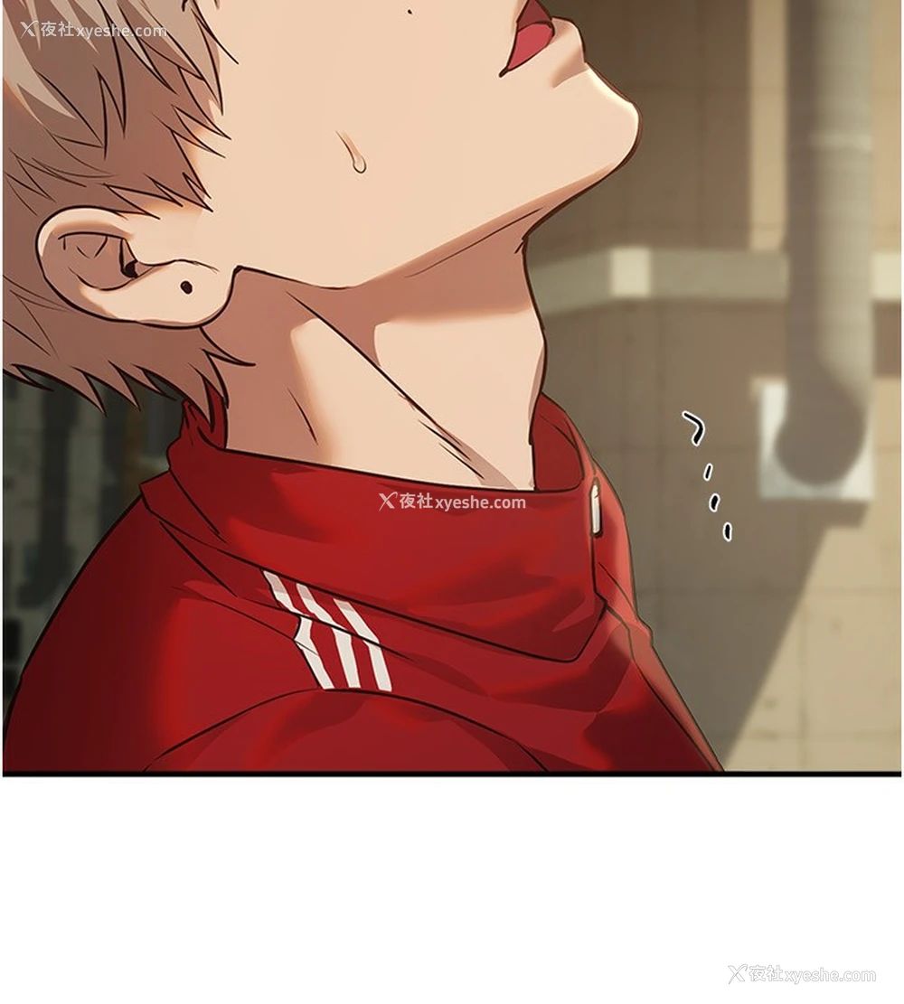 141P - Beautiful Days