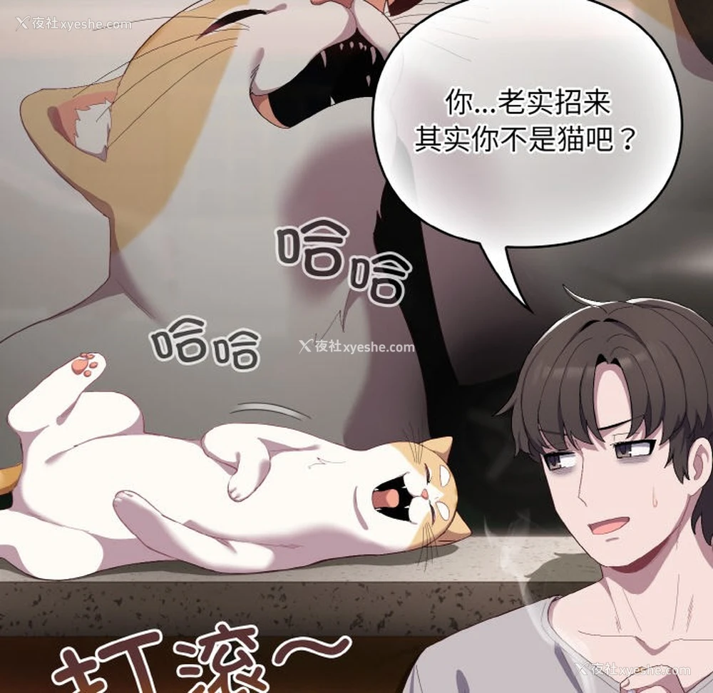 113P - 喵来的恋爱