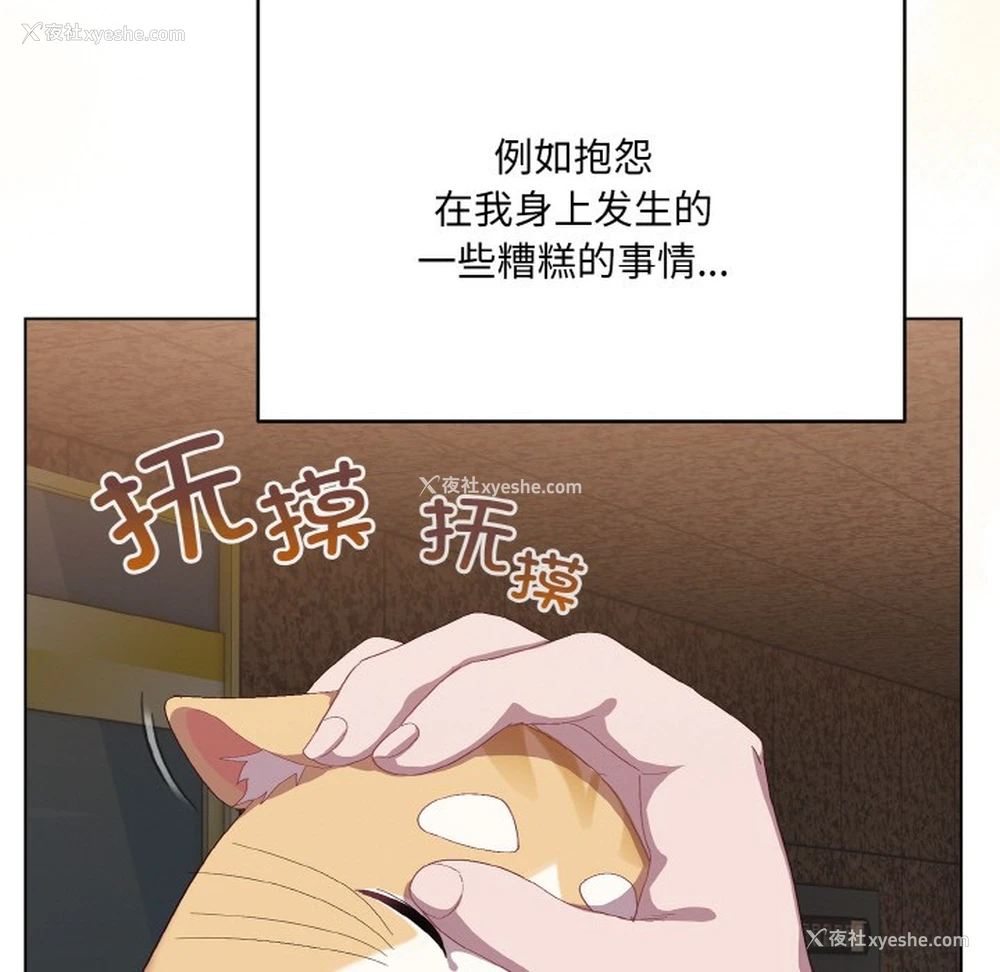 122P - 喵来的恋爱