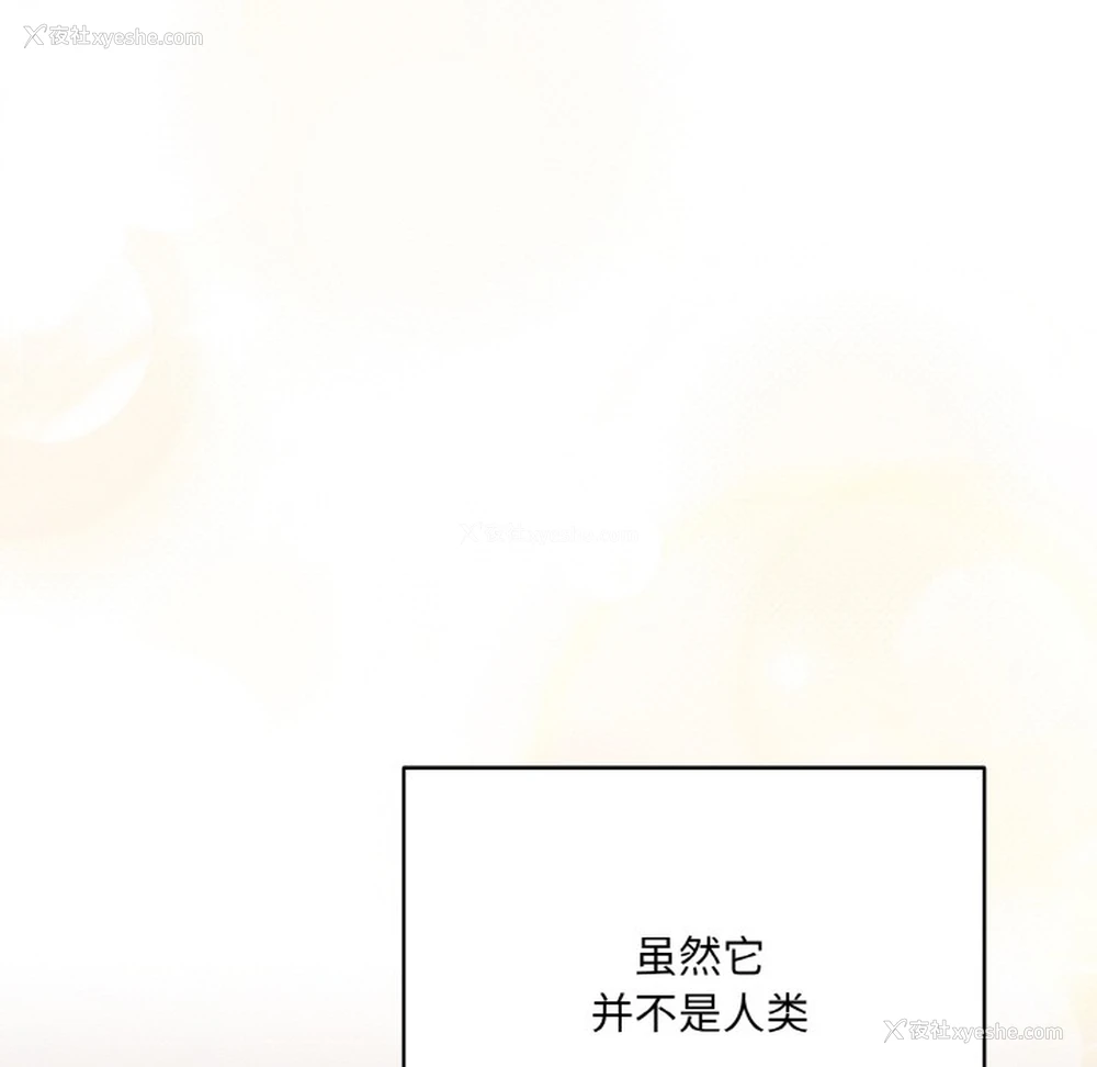 124P - 喵来的恋爱