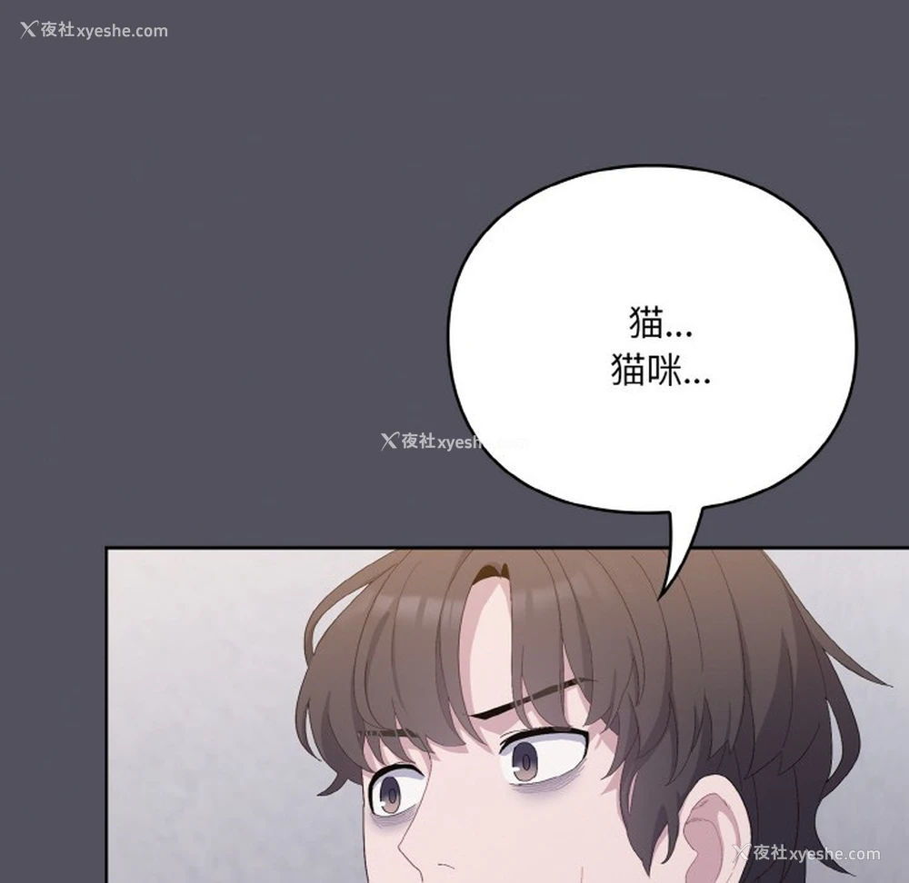 210P - 喵来的恋爱