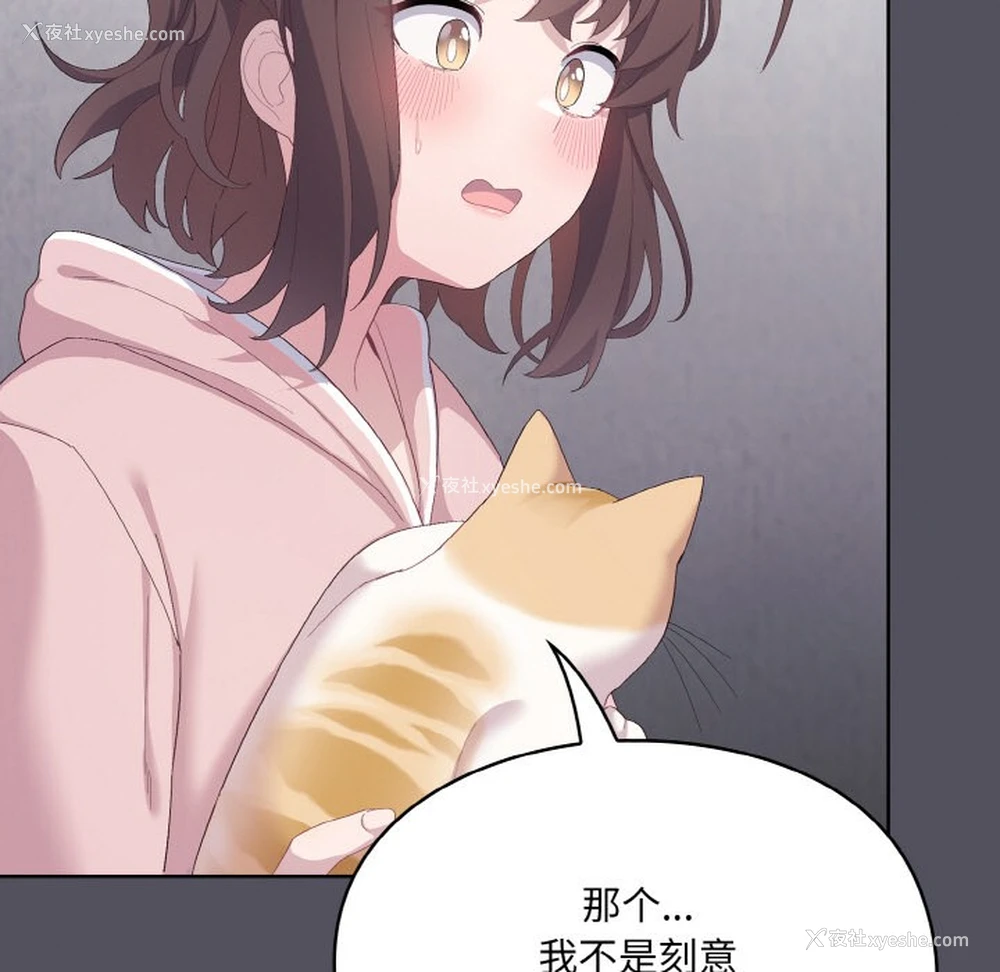 213P - 喵来的恋爱