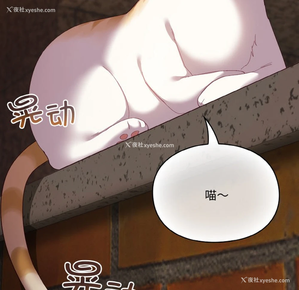 68P - 喵来的恋爱