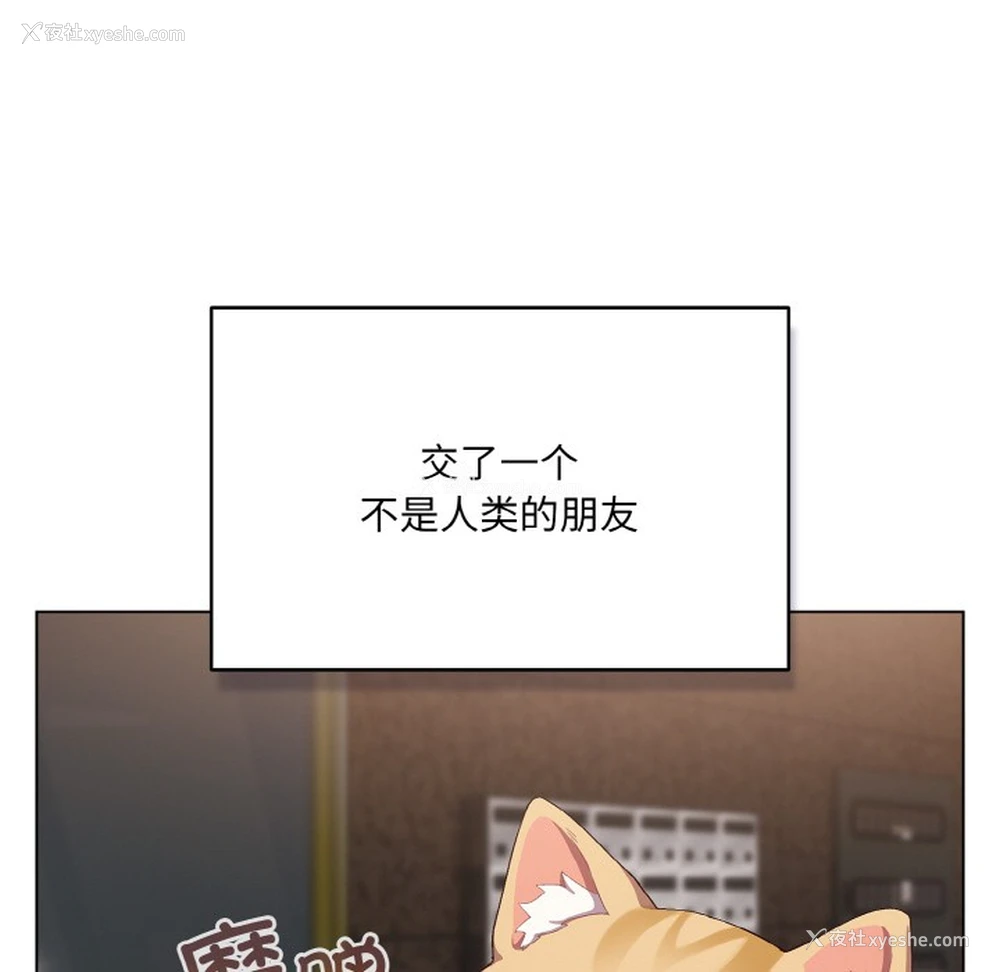 70P - 喵来的恋爱