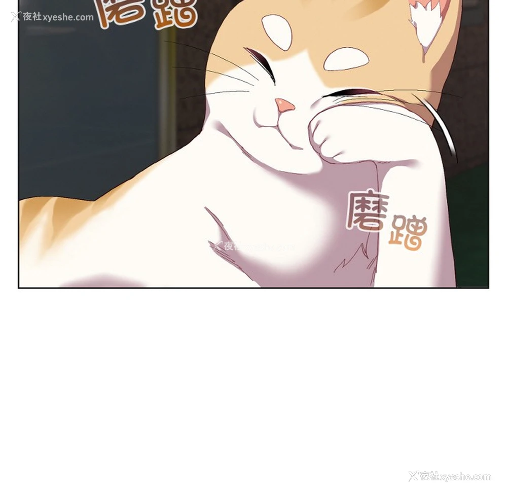71P - 喵来的恋爱