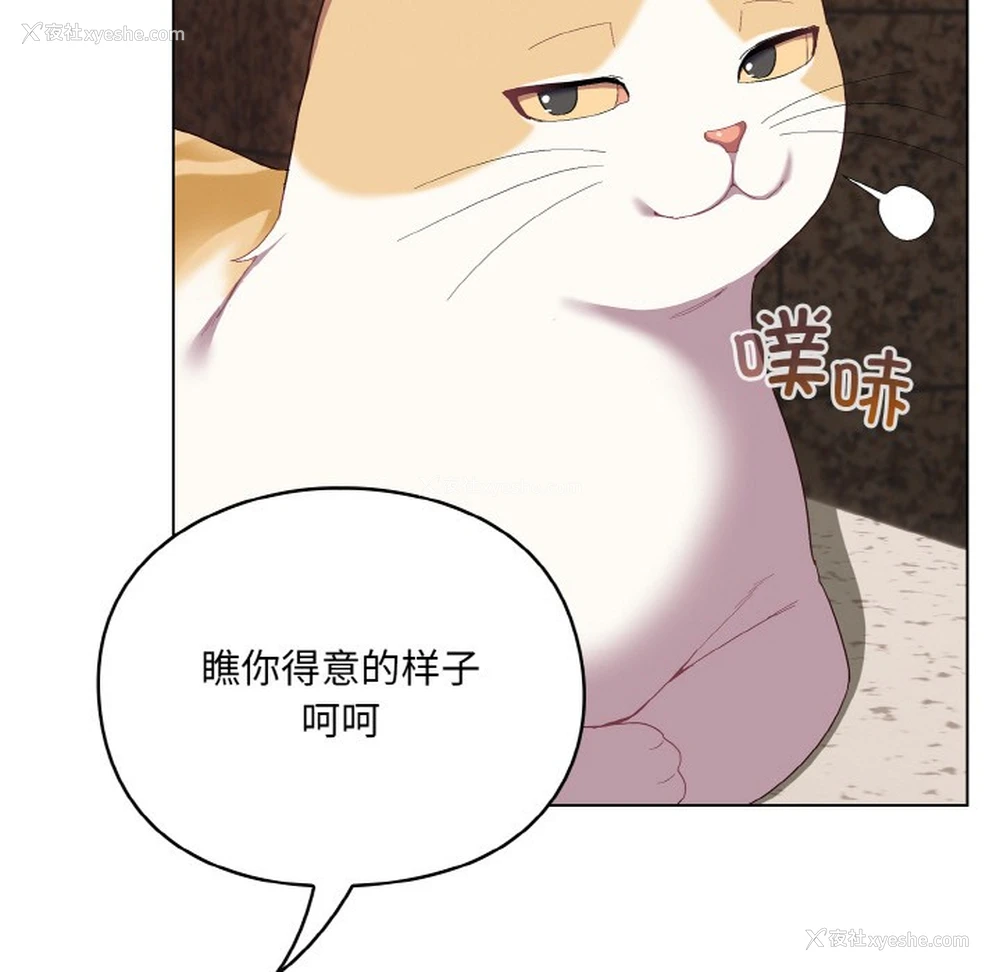 75P - 喵来的恋爱