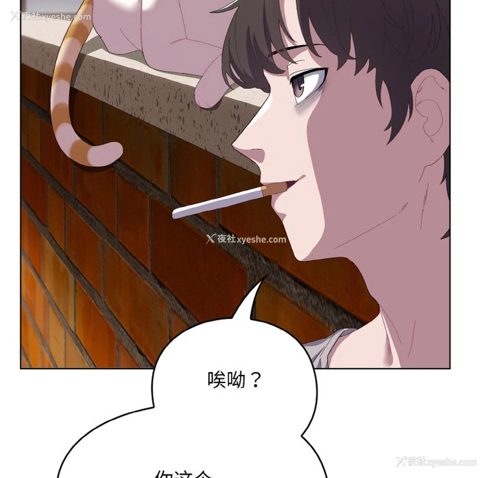 80P - 喵来的恋爱