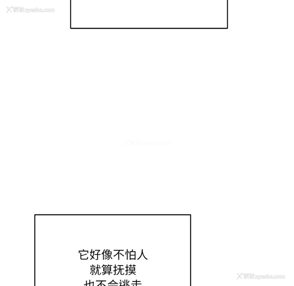 84P - 喵来的恋爱