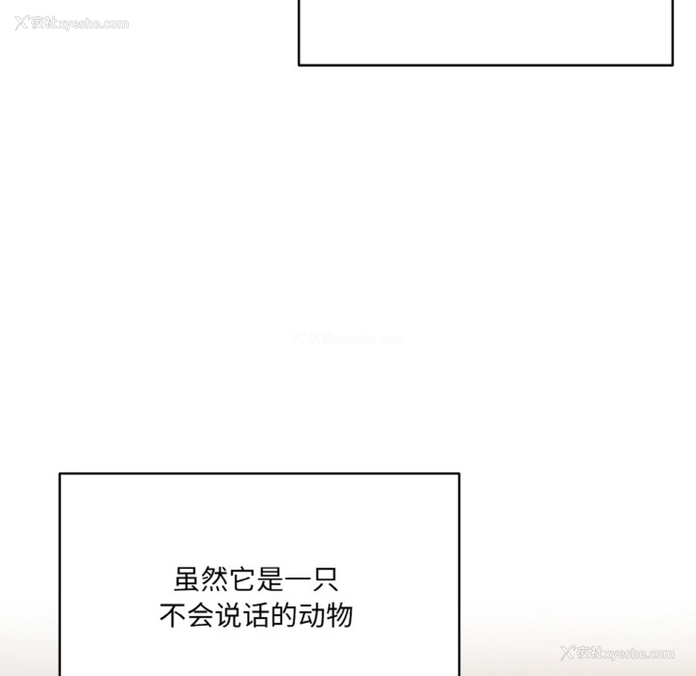87P - 喵来的恋爱