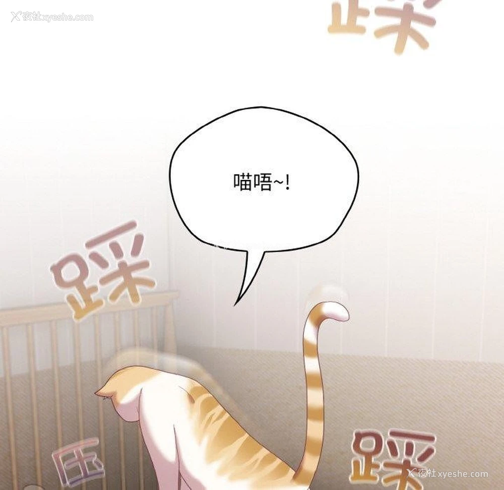 72P - 喵来的恋爱