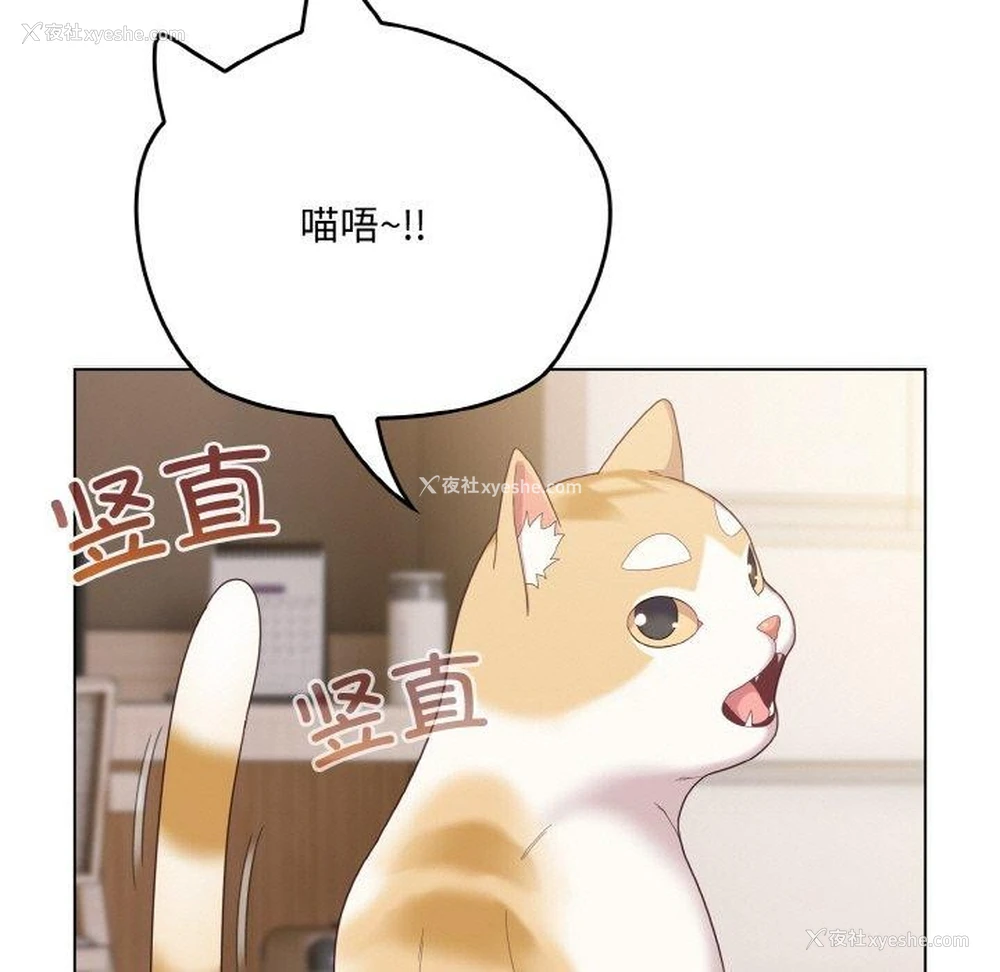 85P - 喵来的恋爱