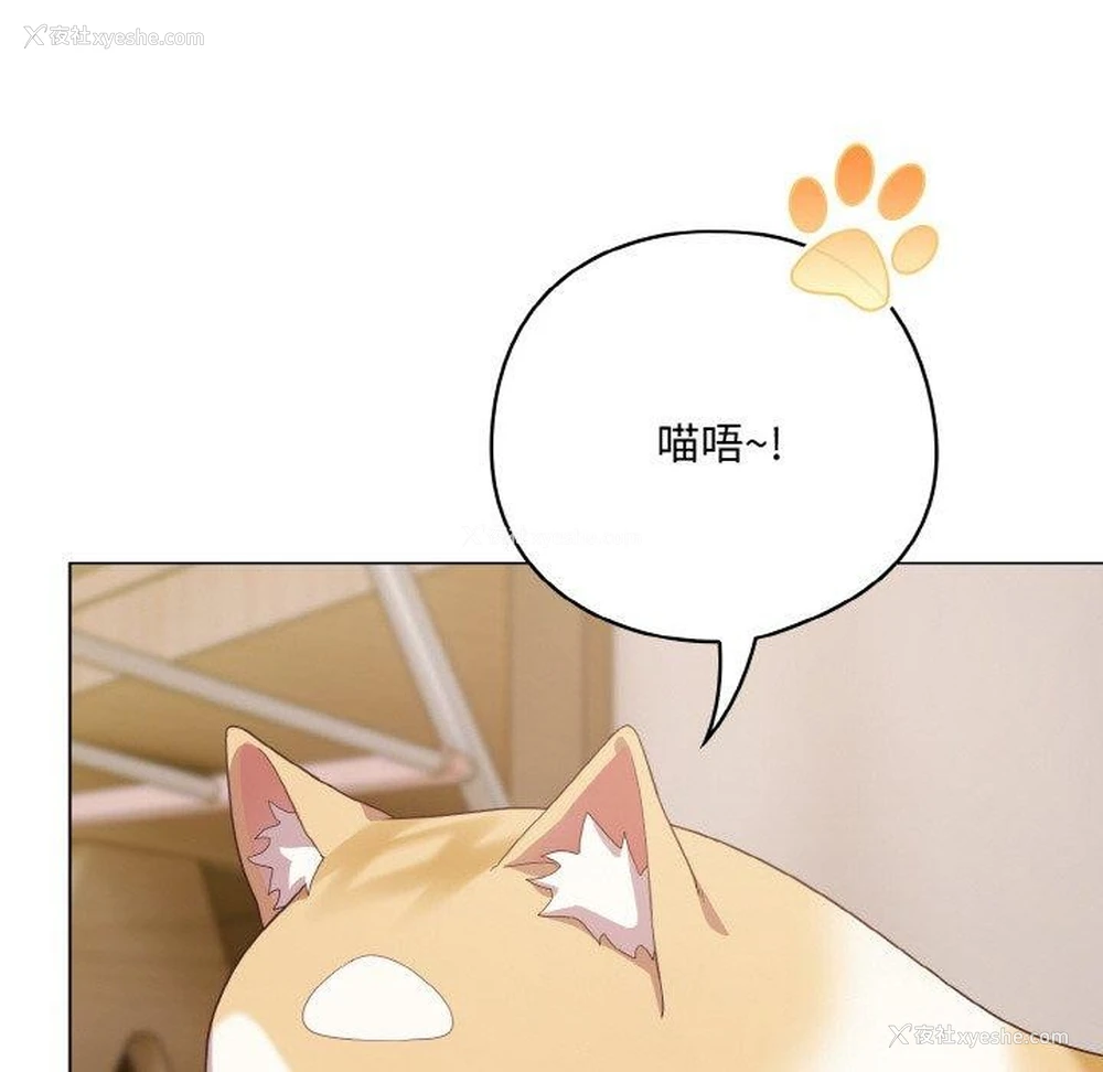 166P - 喵来的恋爱