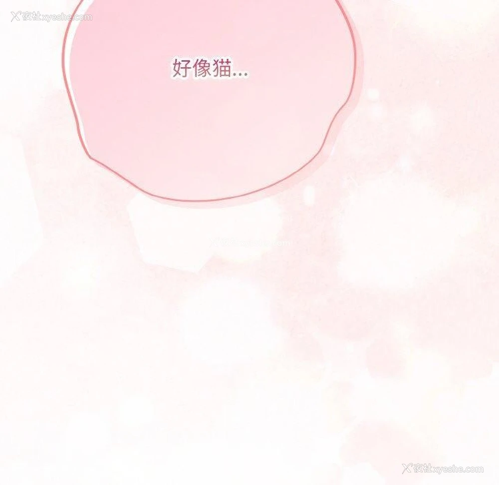 187P - 喵来的恋爱
