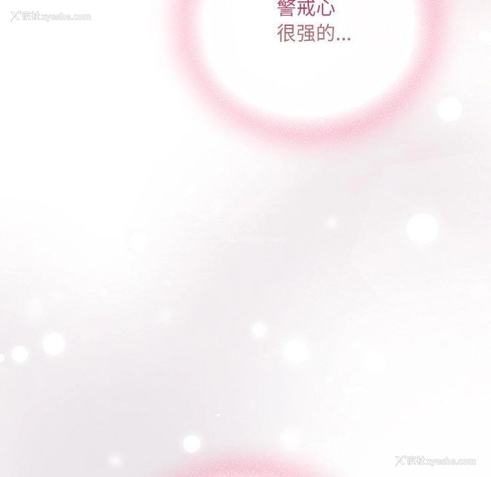 14P - 喵来的恋爱