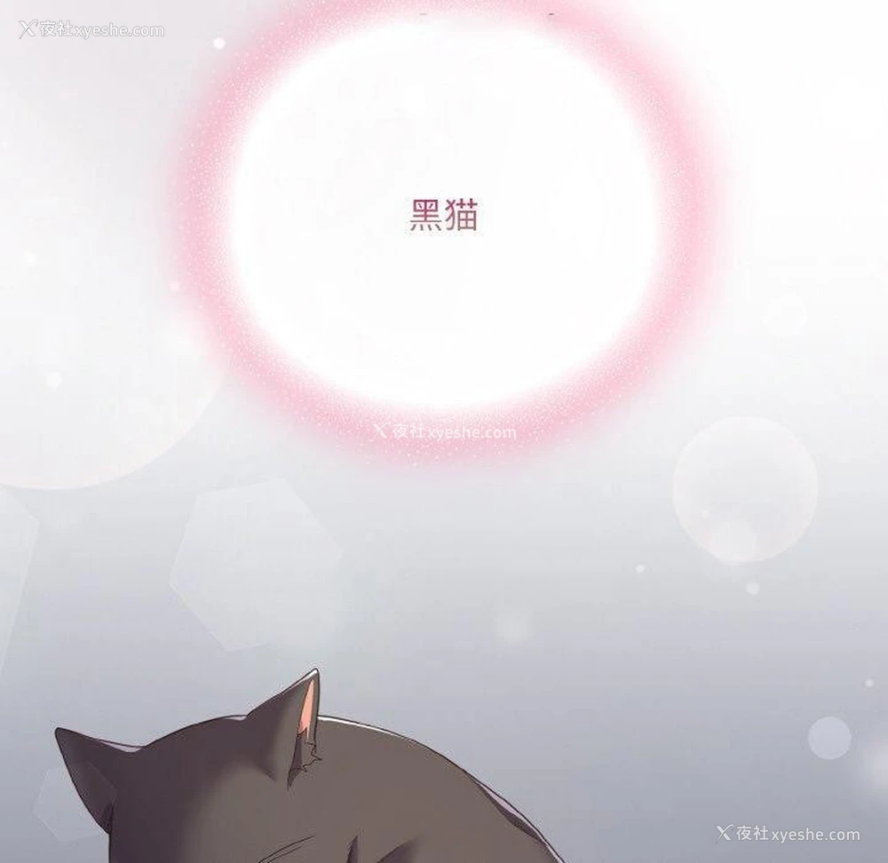 15P - 喵来的恋爱