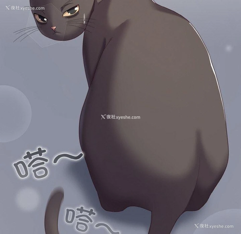 16P - 喵来的恋爱