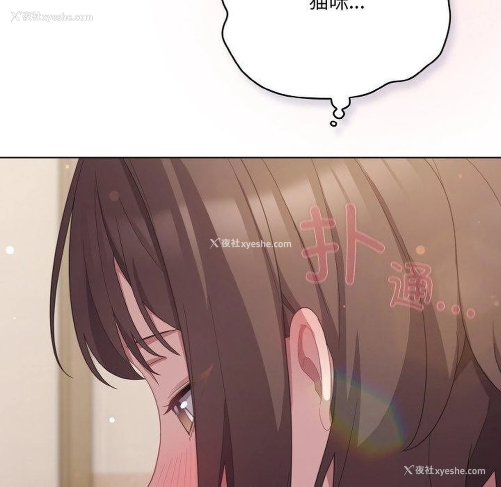 46P - 喵来的恋爱