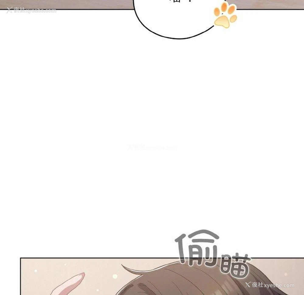 77P - 喵来的恋爱