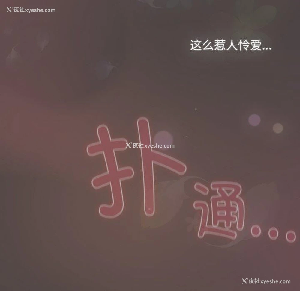 104P - 喵来的恋爱