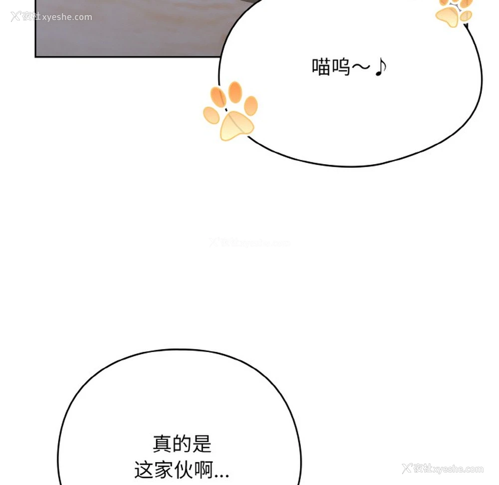 116P - 喵来的恋爱