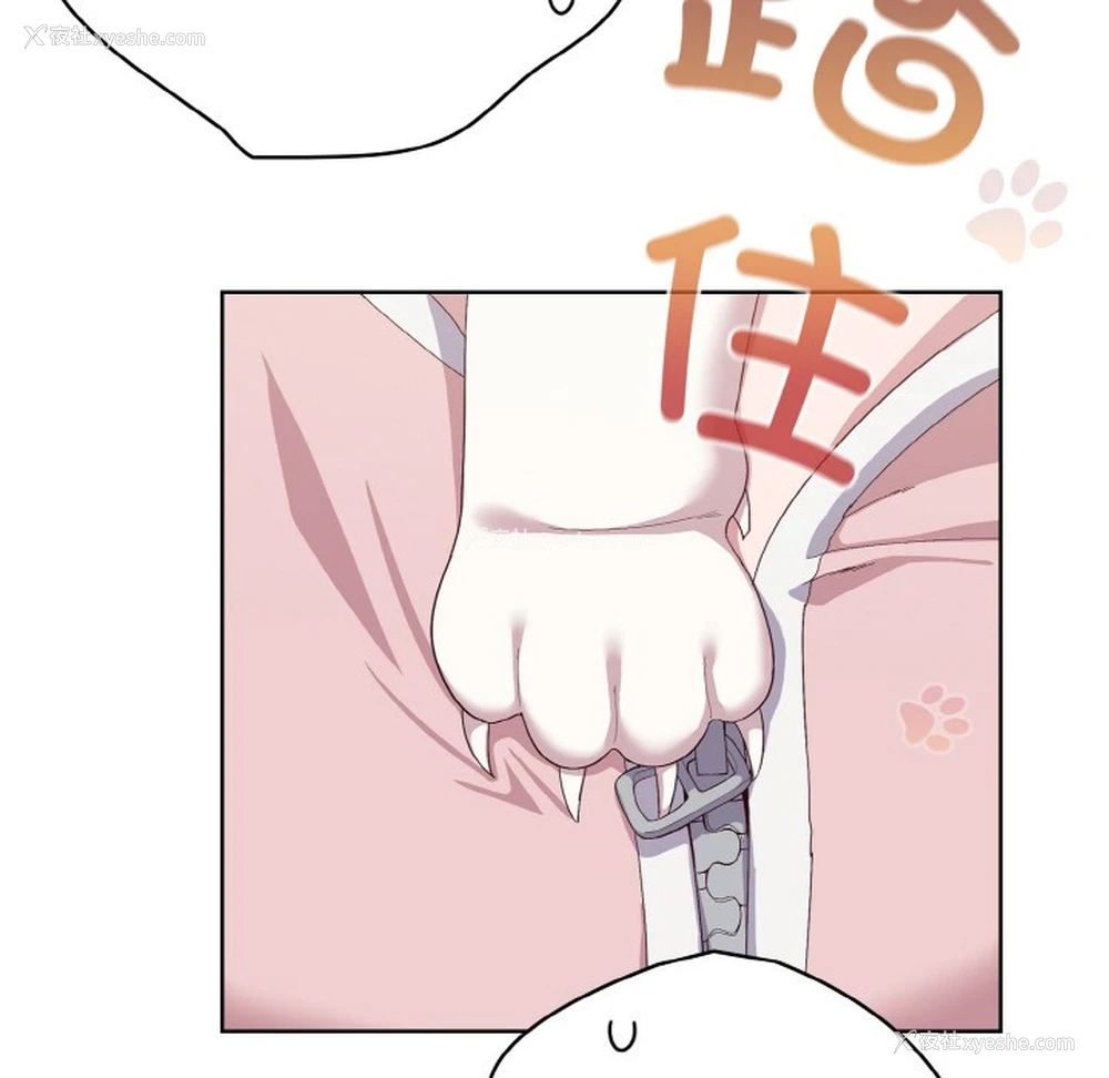 168P - 喵来的恋爱