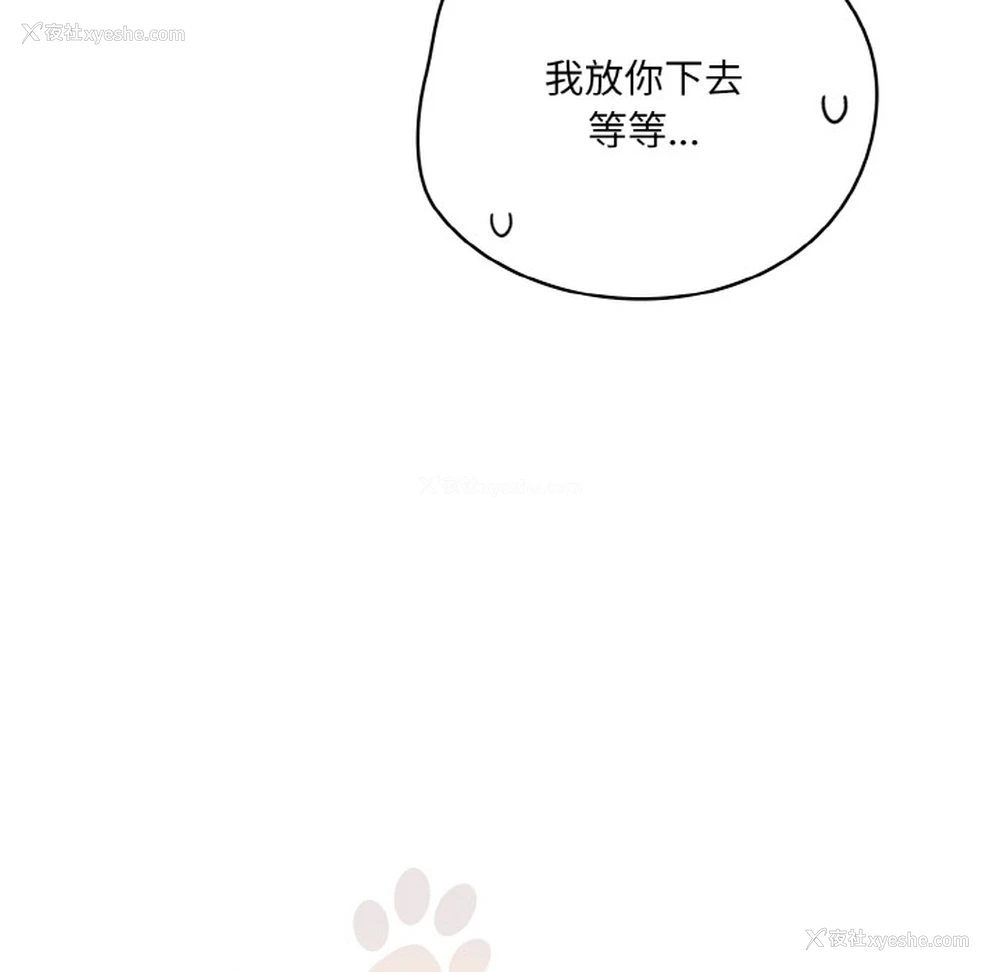 169P - 喵来的恋爱