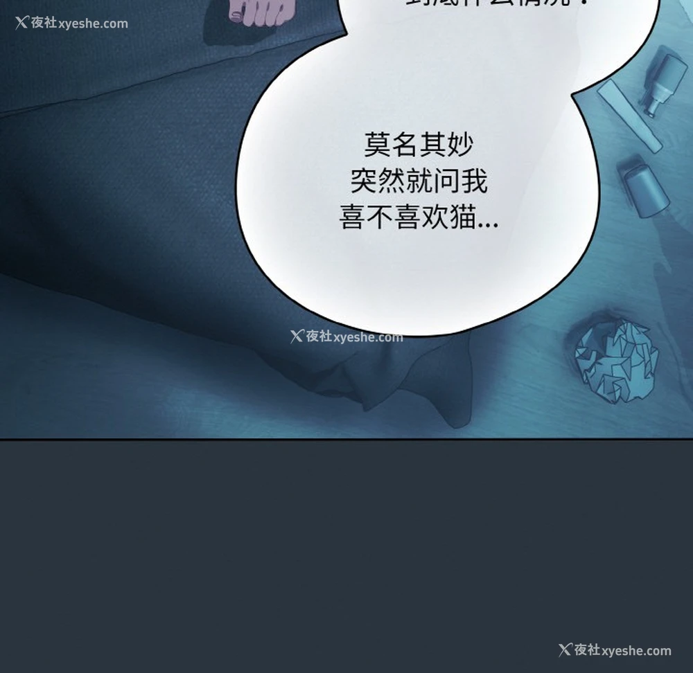 27P - 喵来的恋爱
