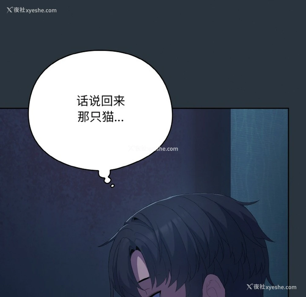 37P - 喵来的恋爱