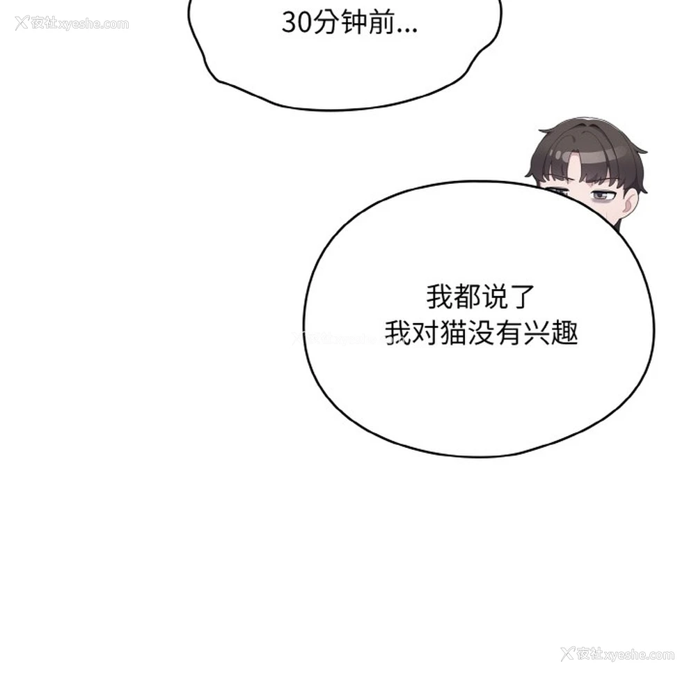 47P - 喵来的恋爱