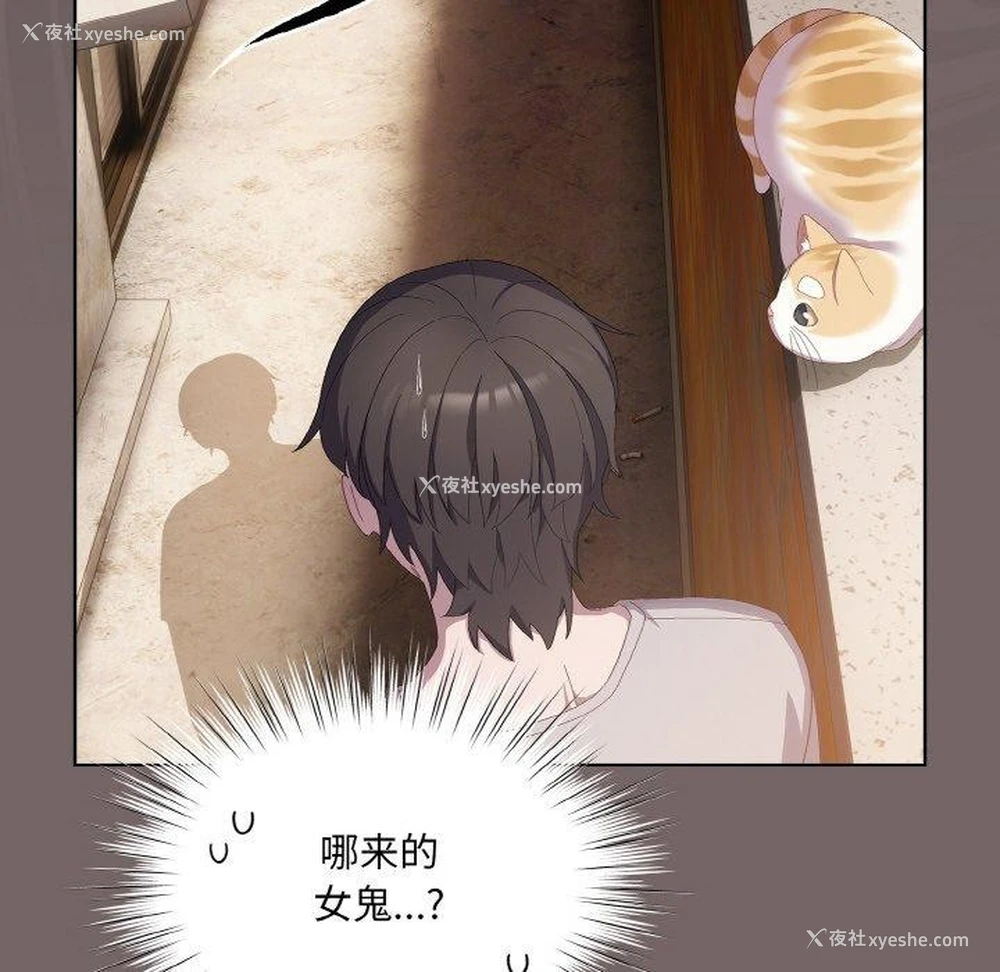108P - 喵来的恋爱