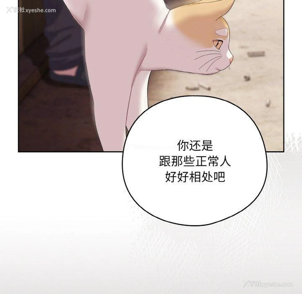 138P - 喵来的恋爱