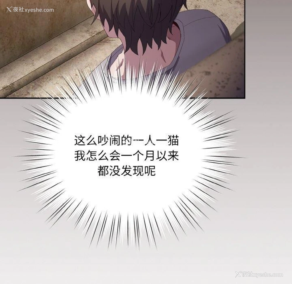 157P - 喵来的恋爱